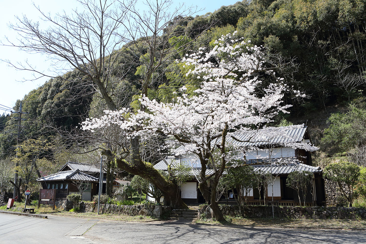 第百八十八話 旅することをやめない－【宮崎篇】歌人 若山牧水－