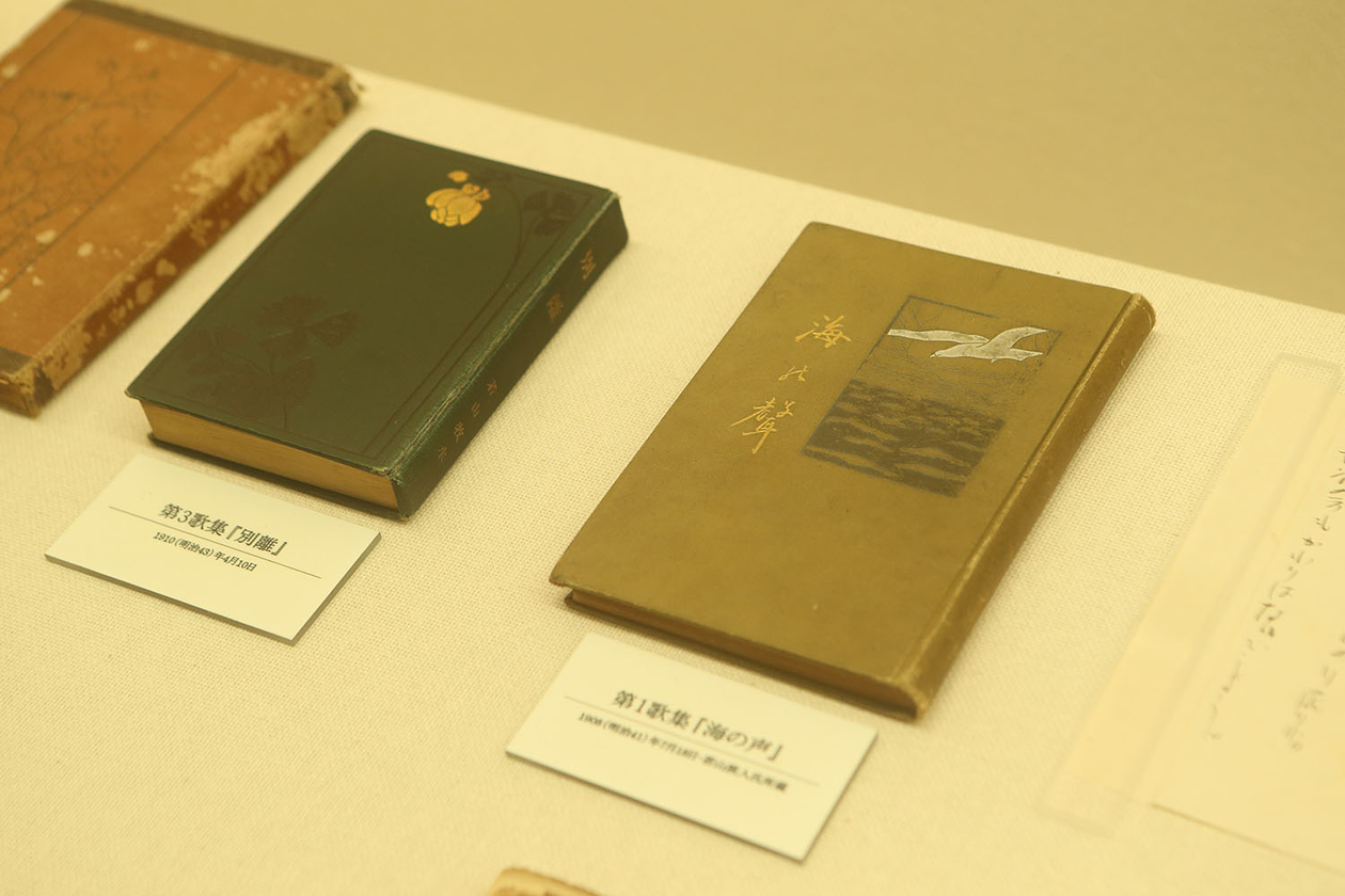 第百八十八話 旅することをやめない－【宮崎篇】歌人 若山牧水－