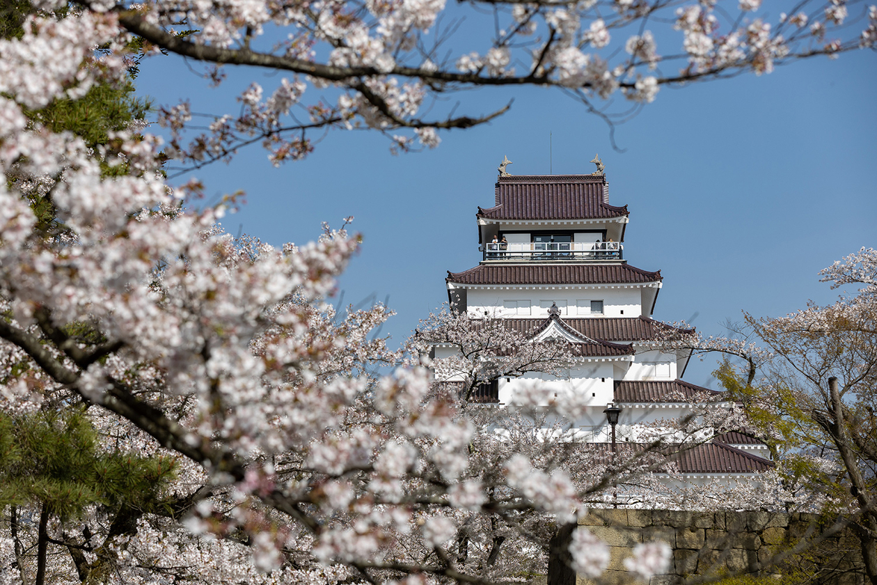 第百九十二話 生まれてきた役割を知る－【福島篇】大山捨松－