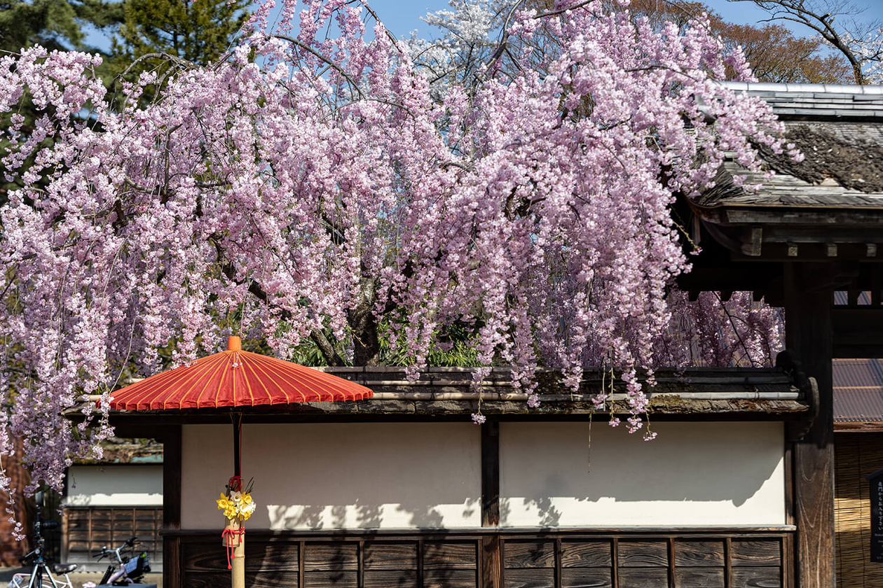 第百九十二話 生まれてきた役割を知る－【福島篇】大山捨松－