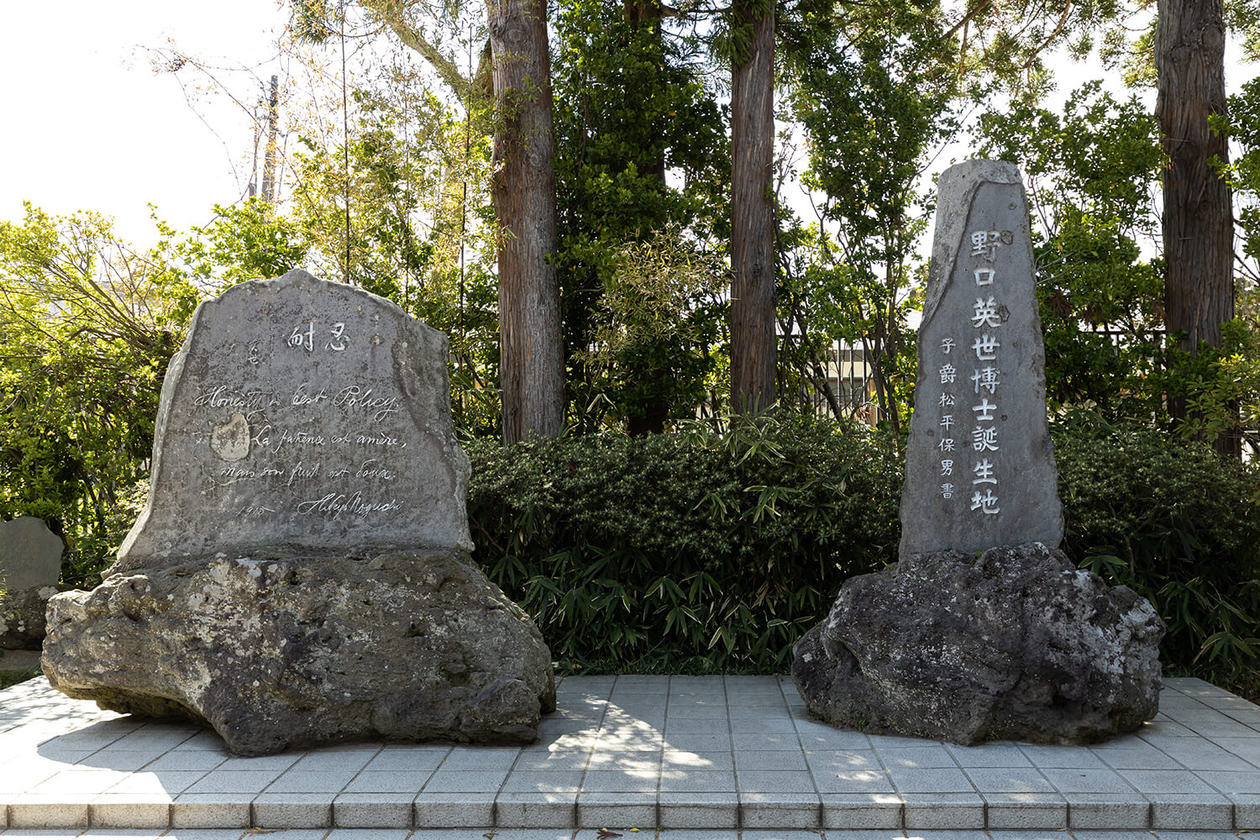 第百九十三話 自分をふるい立たせる言葉を持つ－【福島篇】野口英世－