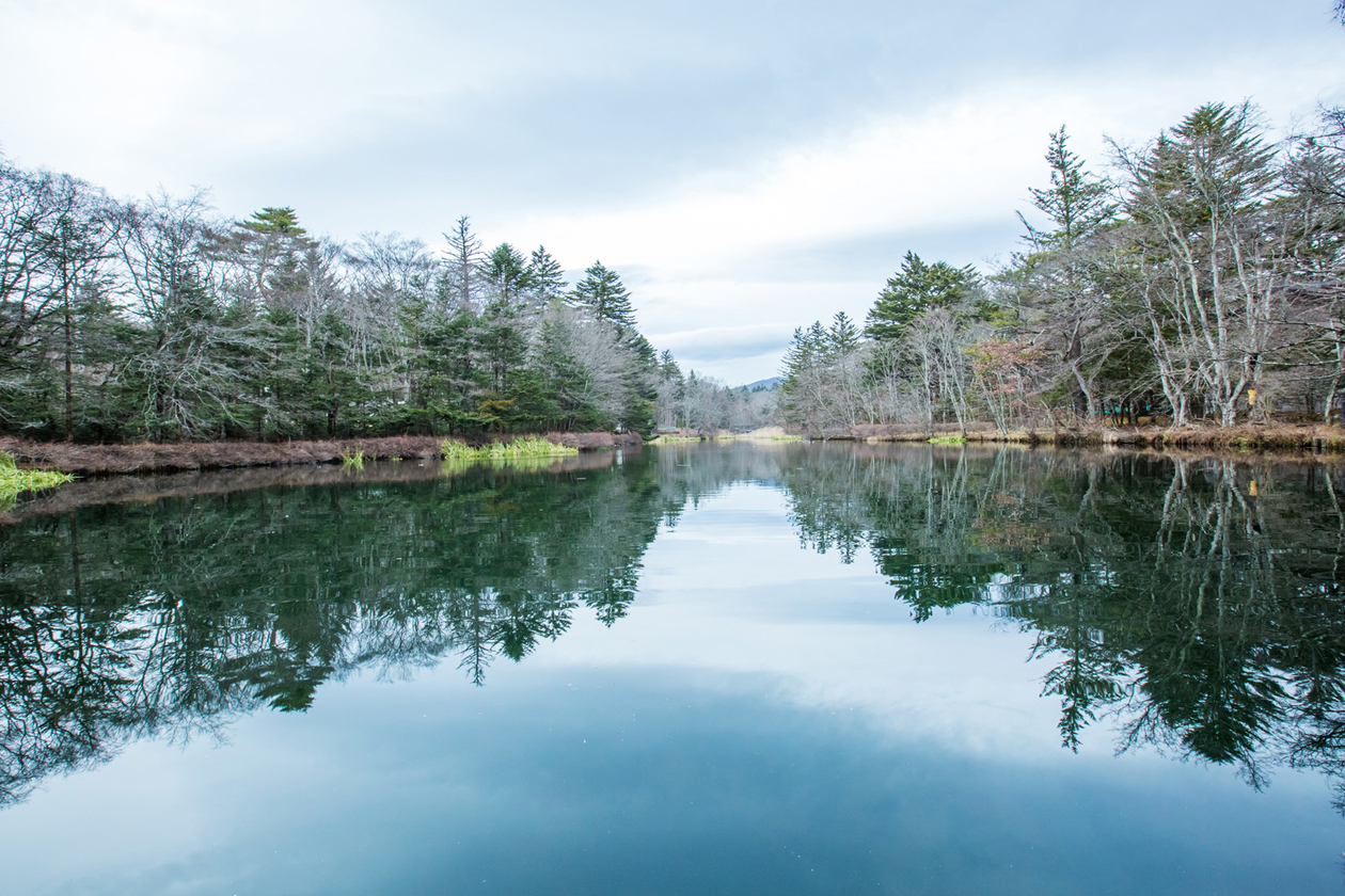 第十八話 シニカルという希望－作家・評論家 正宗白鳥－