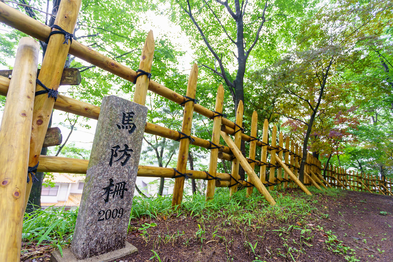 第百九十八話 自分の人生にけじめをつける－【岐阜篇】明智光秀－