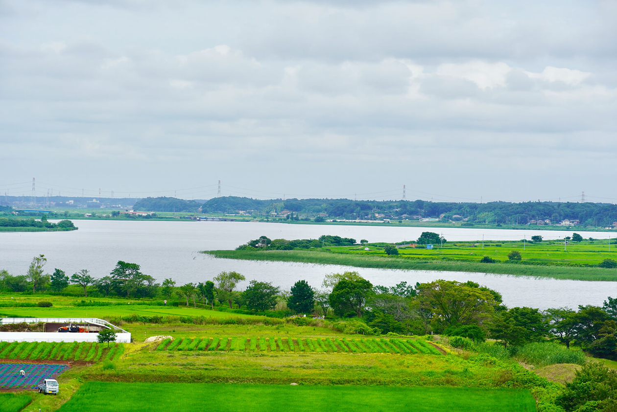 第二百二話 見たままをうつす力－【千葉篇】画家 山下清－