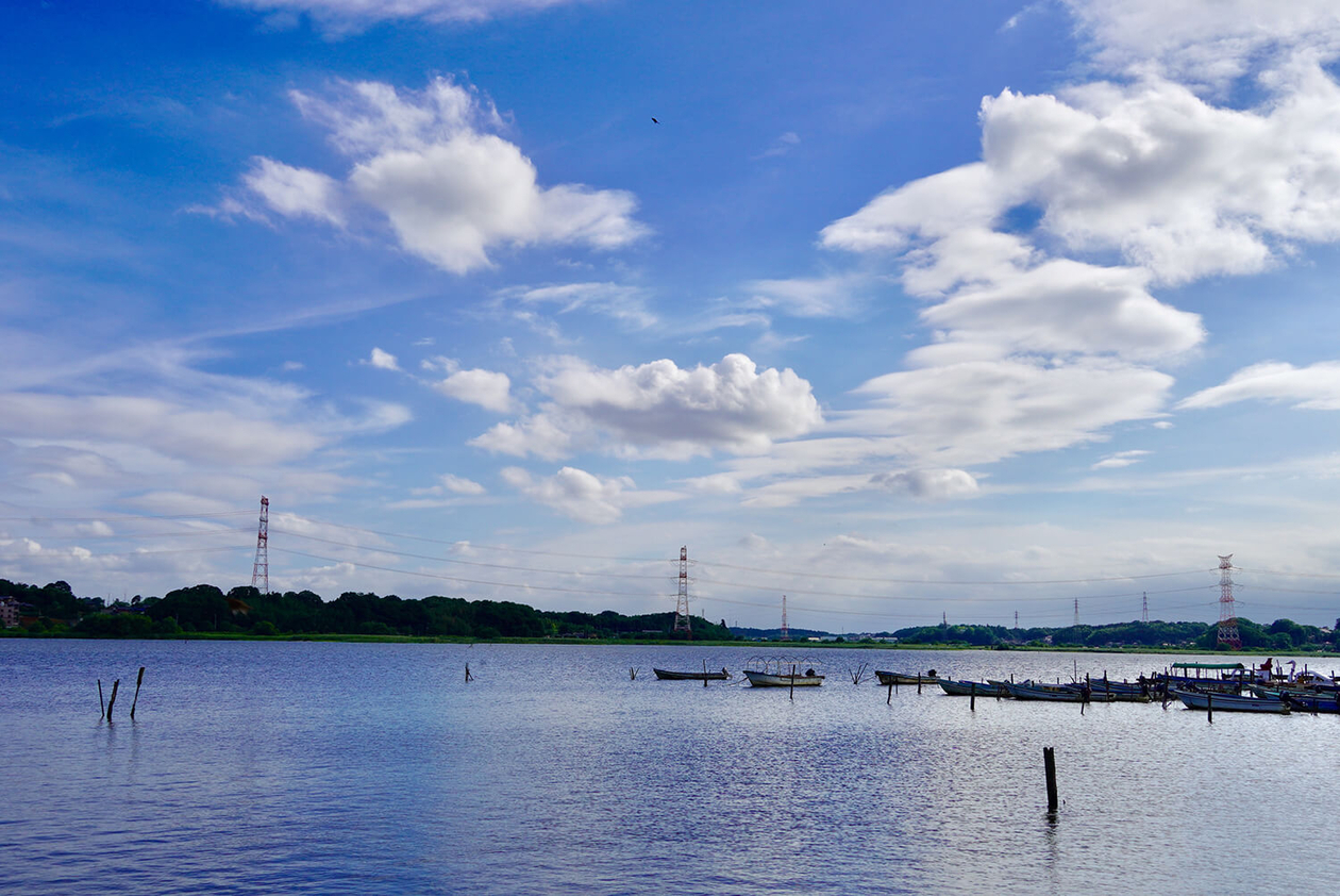 第二百二話 見たままをうつす力－【千葉篇】画家 山下清－