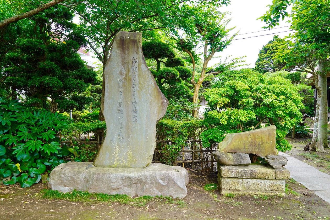 第二百三話 挫折を乗り越える－【千葉篇】作家 伊藤左千夫－