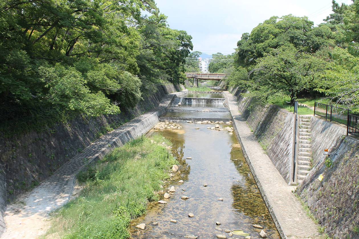 第二百五話 想像力という名の勇気を手放さない－【兵庫篇】小説家 小松左京－