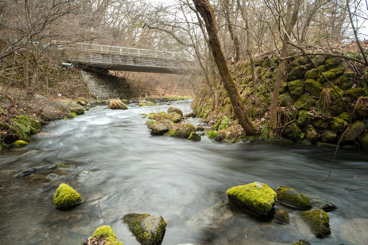 第十九話 諦めない心－星野二代目嘉助－