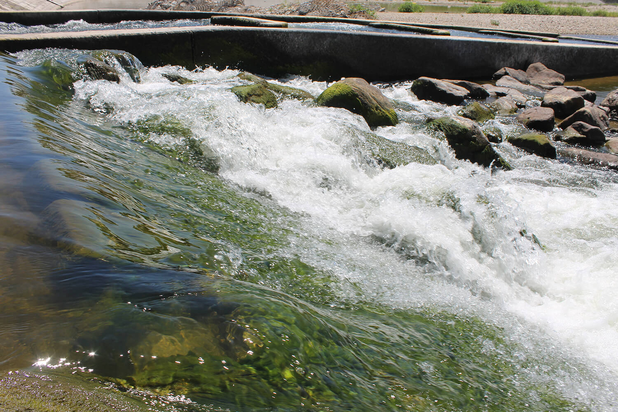 第二百六話 命がけでやる－【兵庫篇】作詞家・訳詞家 岩谷時子－