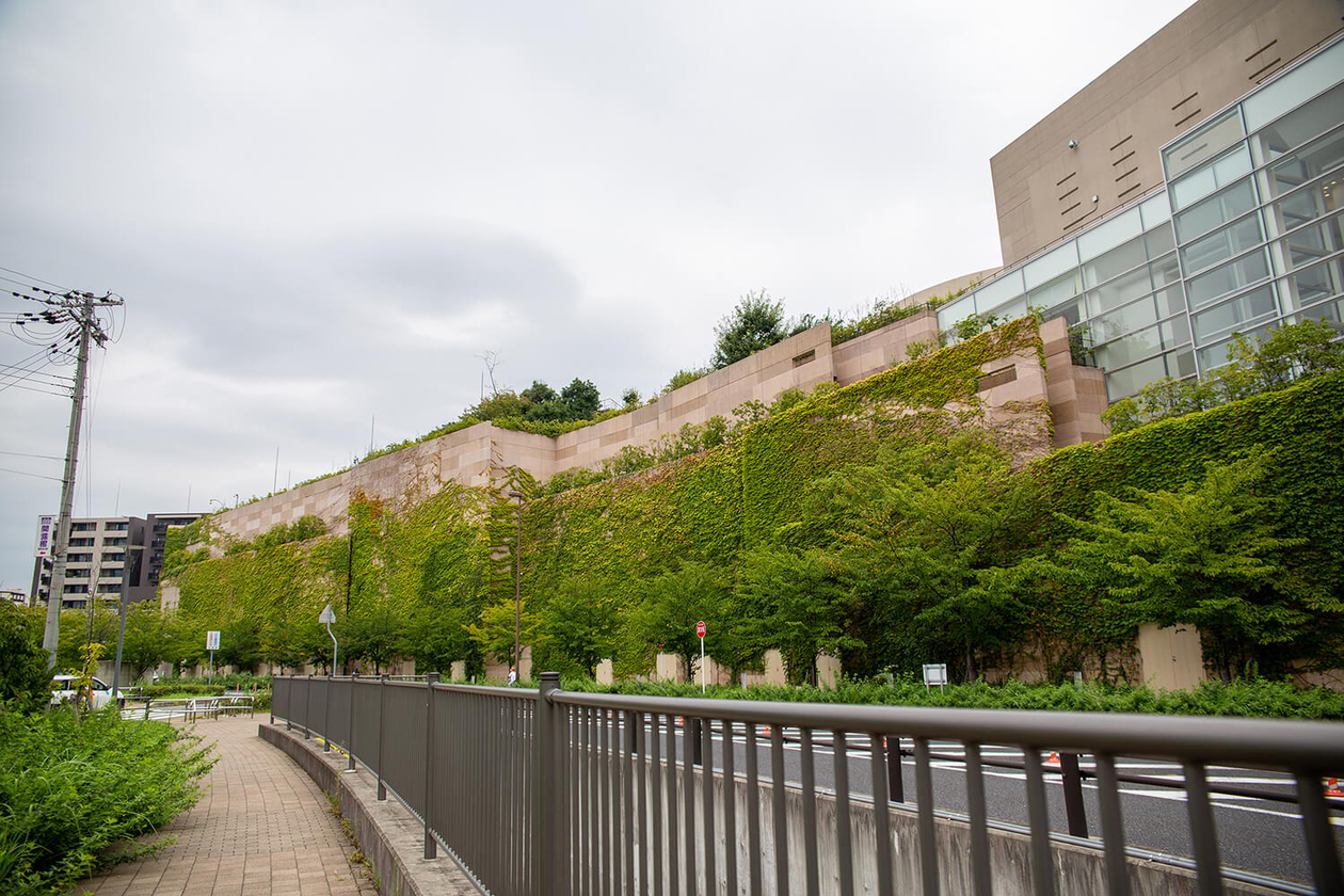 第二百九話 自分を極める－【兵庫篇】マイケル・ジャクソン－