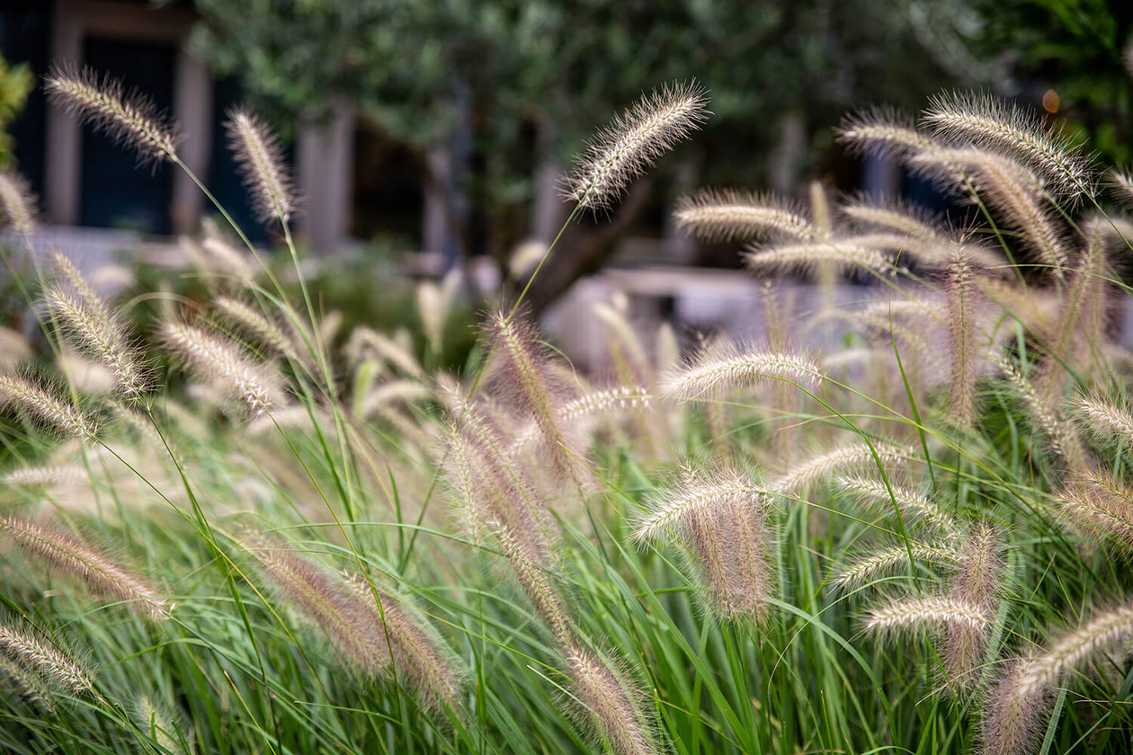 第二百九話 自分を極める－【兵庫篇】マイケル・ジャクソン－