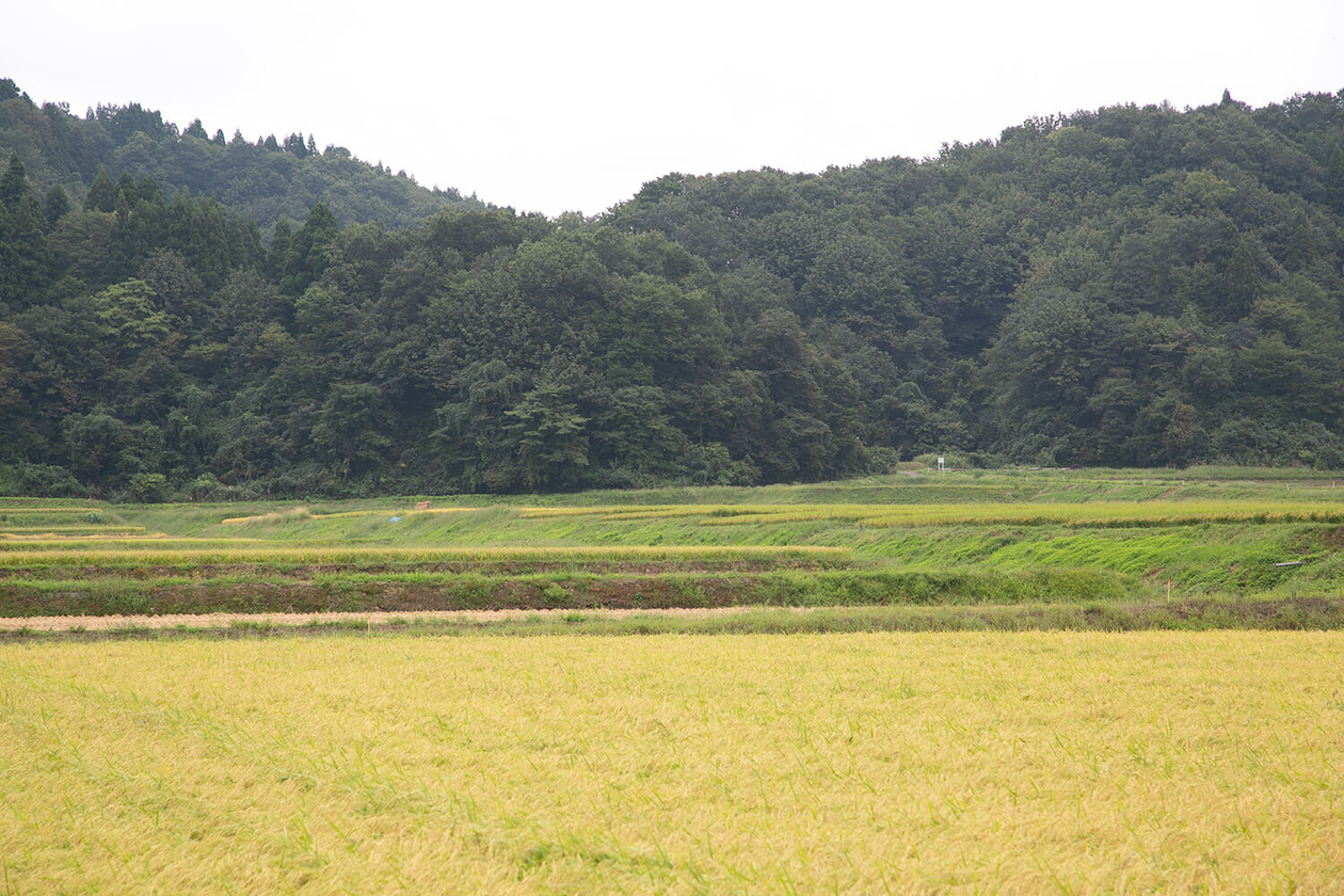 第二百十二話 笑顔を絶やさない－【新潟篇】歌手 三波春夫－