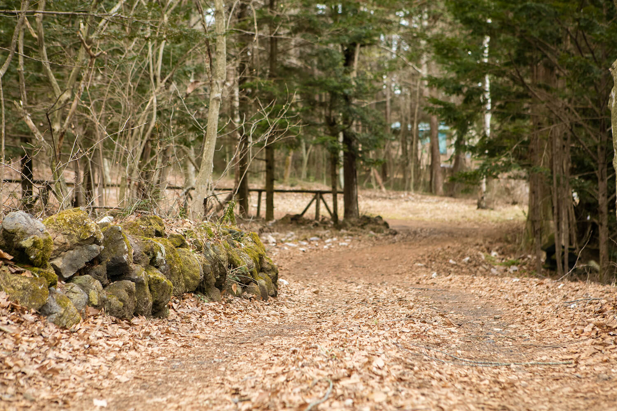 第二十一話 用なき人に用あり－実業家・鹿島岩蔵－