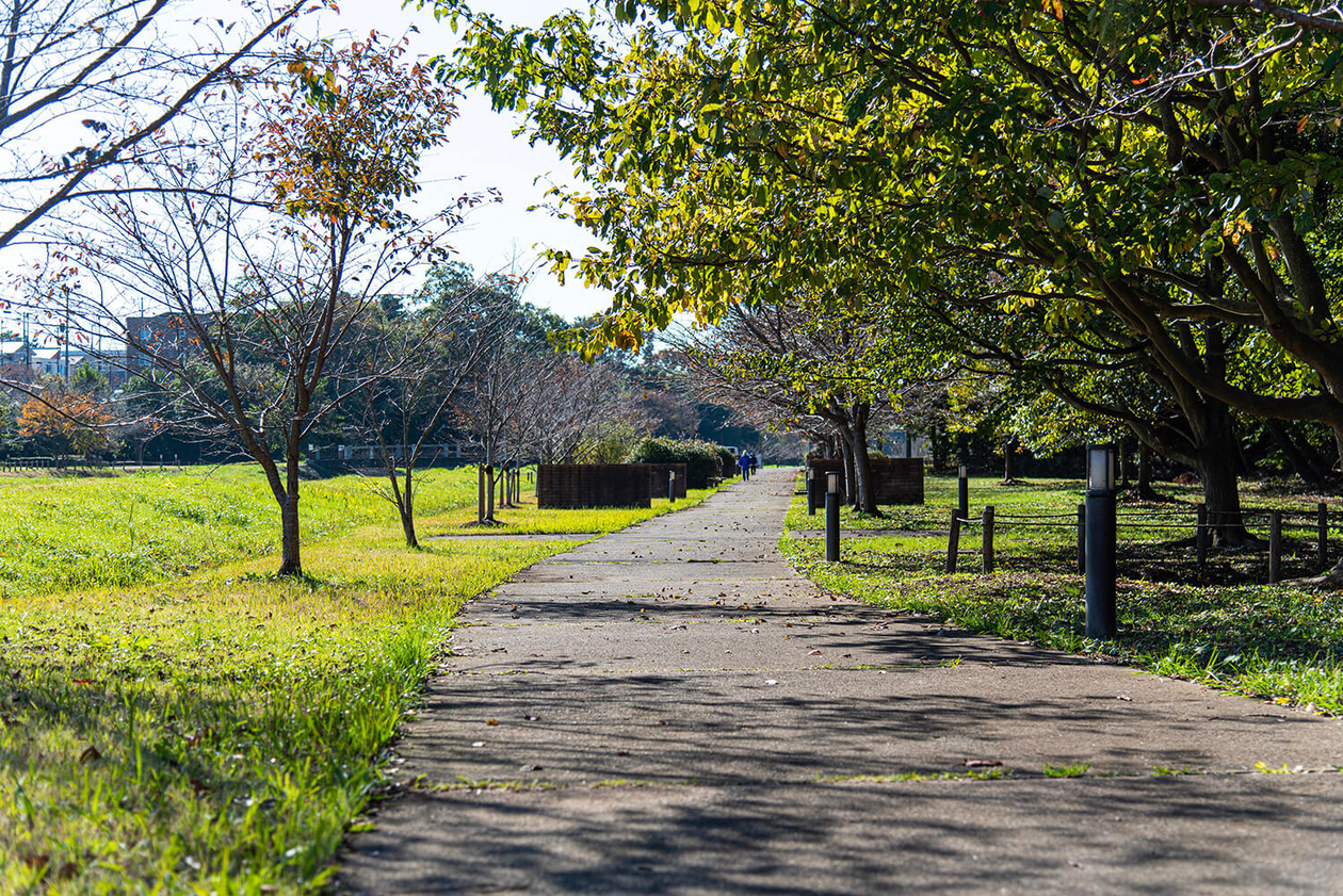 第二百二十話 仕事に熱を込める－【茨城篇】映画監督 深作欣二－