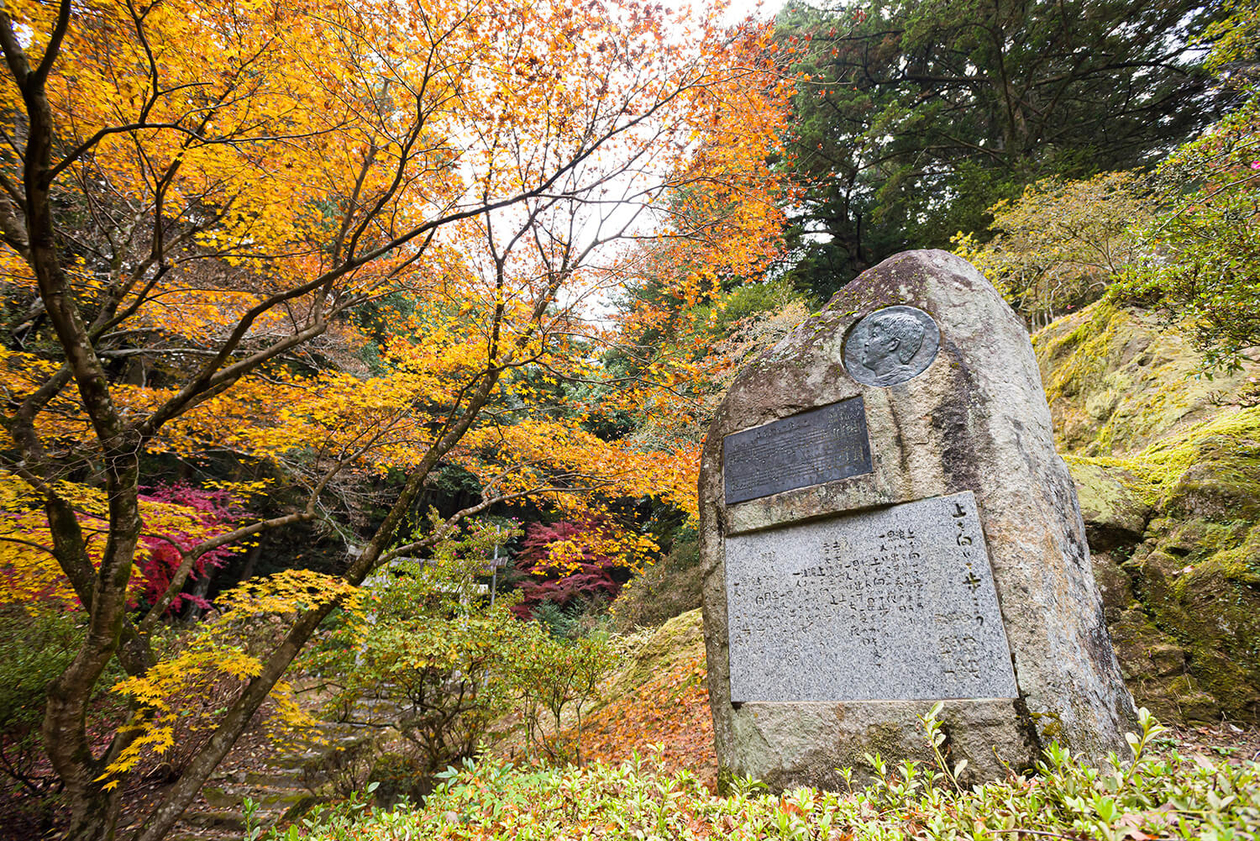 第二百二十二話 見上げればそこに星はある－【茨城篇】坂本九－