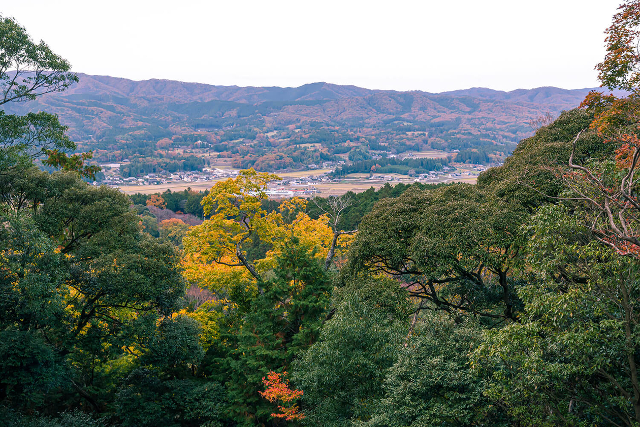 第二百二十二話 見上げればそこに星はある－【茨城篇】坂本九－