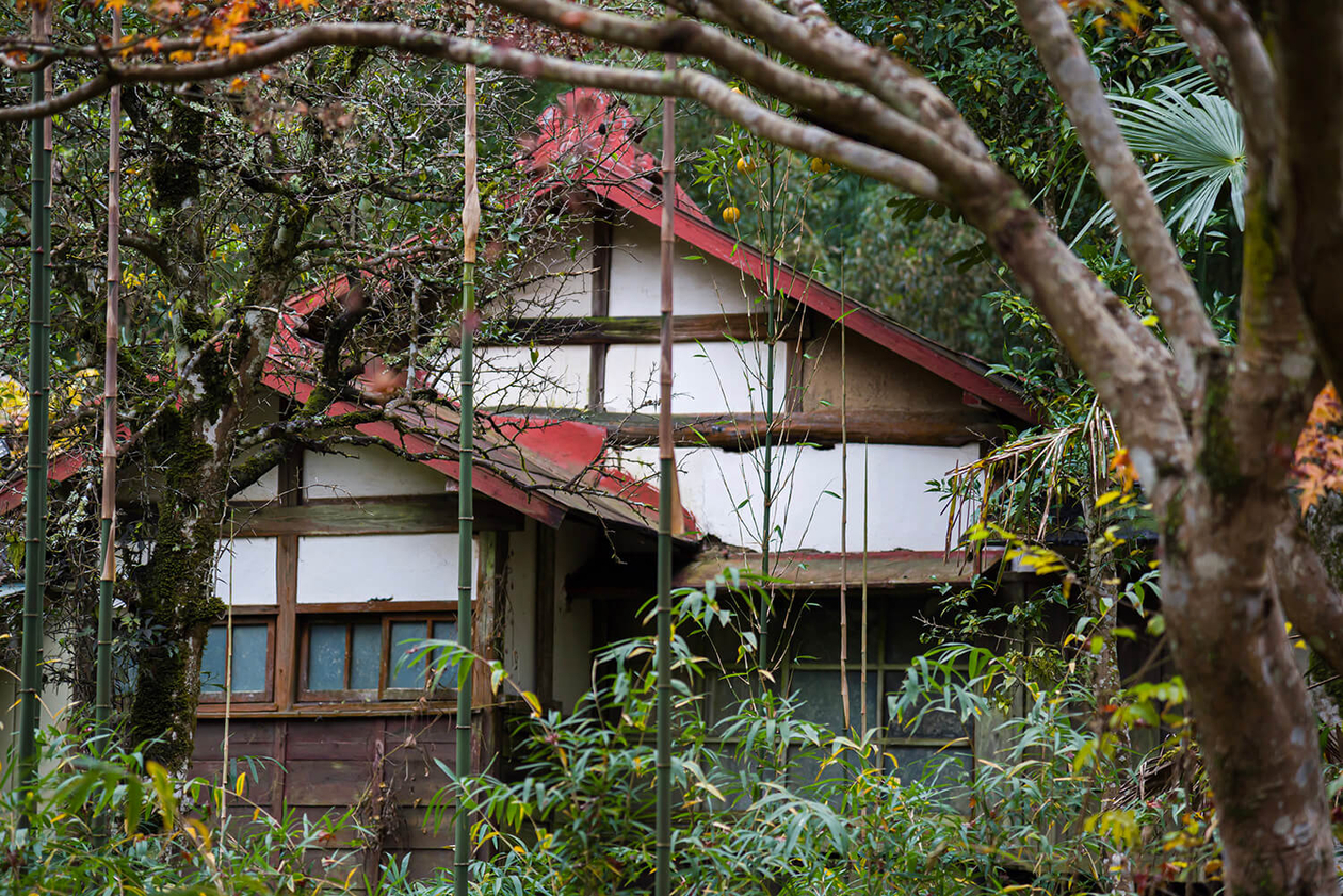 第二百二十二話 見上げればそこに星はある－【茨城篇】坂本九－