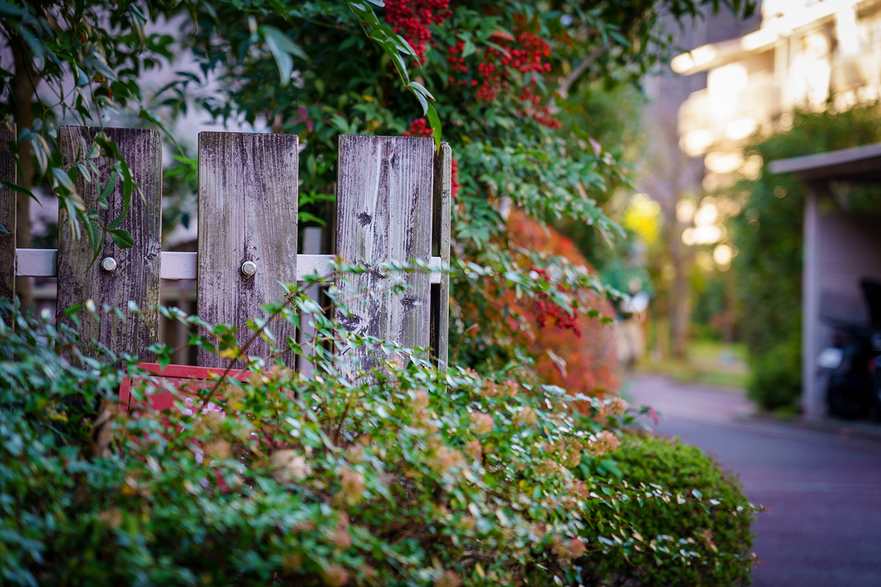 第二百二十三話 好きなものには食らいつく！－【先駆者篇①】字幕翻訳者 戸田奈津子－