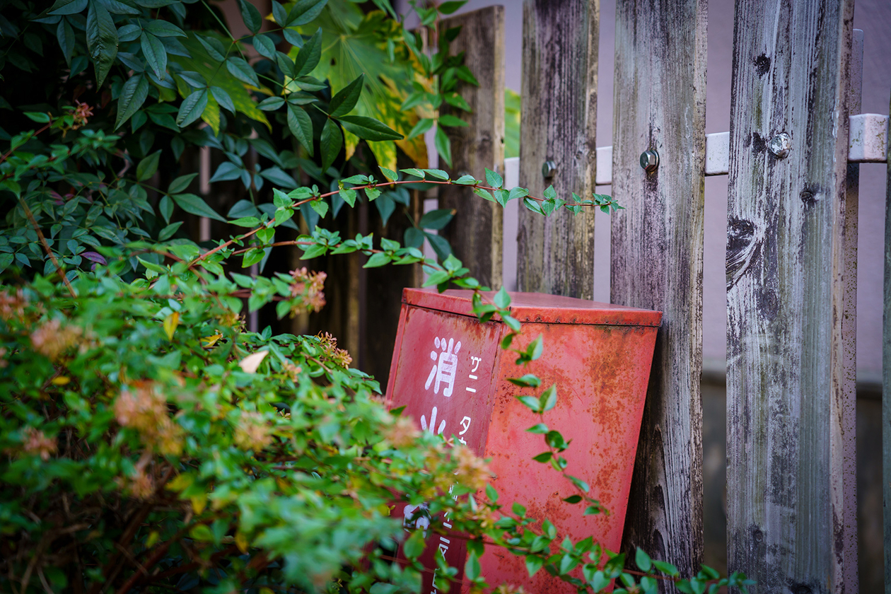 第二百二十三話 好きなものには食らいつく！－【先駆者篇①】字幕翻訳者 戸田奈津子－