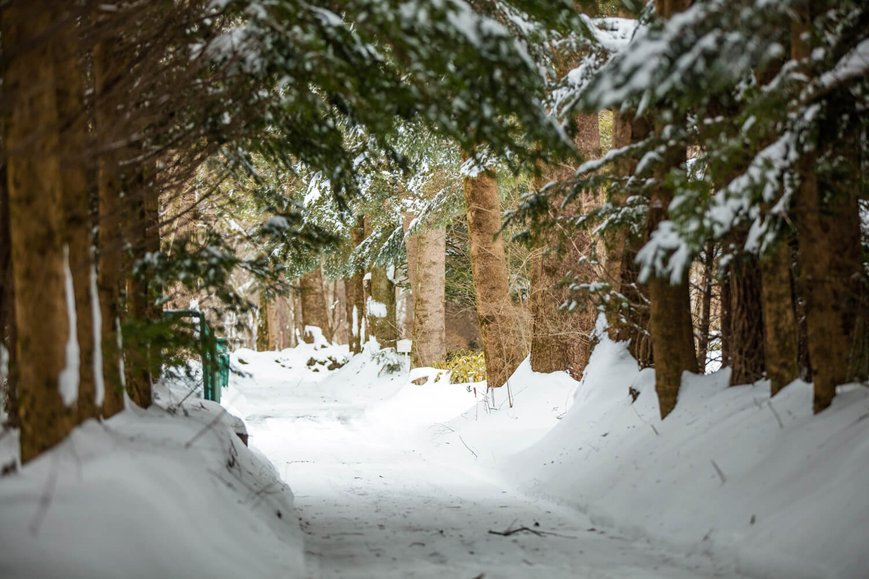 第二十四話 切り込む力－随筆家・白洲正子－