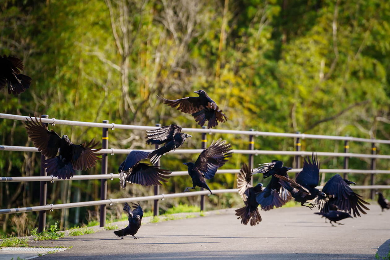 第二百四十話 コンプレックスと向き合う－【海外レジェンド篇①】映画監督 アルフレッド・ヒッチコック－