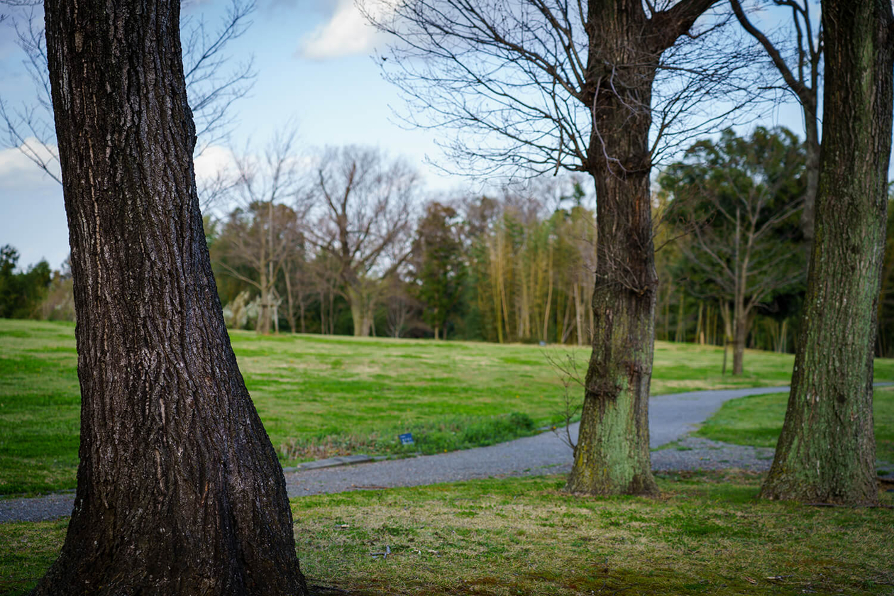 第二百四十話 コンプレックスと向き合う－【海外レジェンド篇①】映画監督 アルフレッド・ヒッチコック－