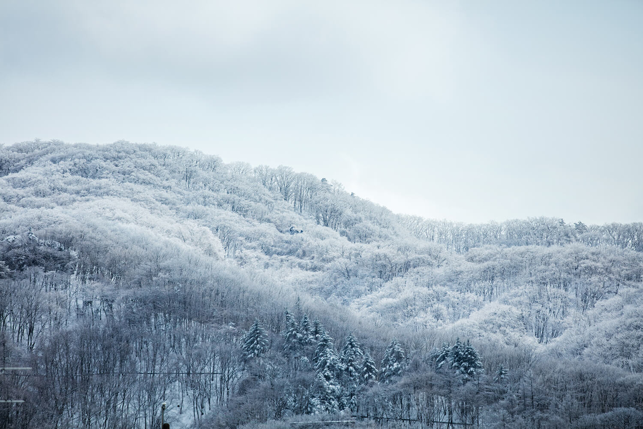 第二十四話 切り込む力－随筆家・白洲正子－