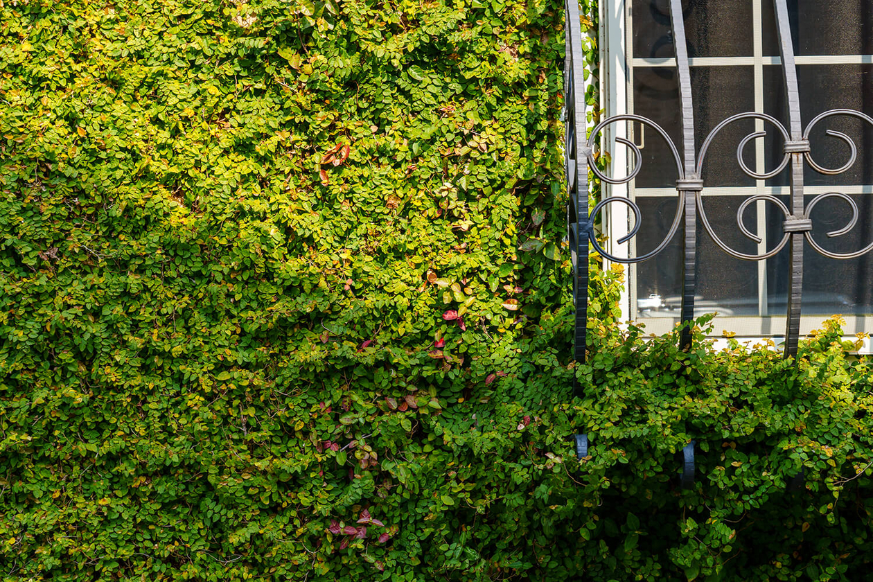 第二百四十一話 諦めない－【海外レジェンド篇②】作曲家 ピョートル・イリイチ・チャイコフスキー－