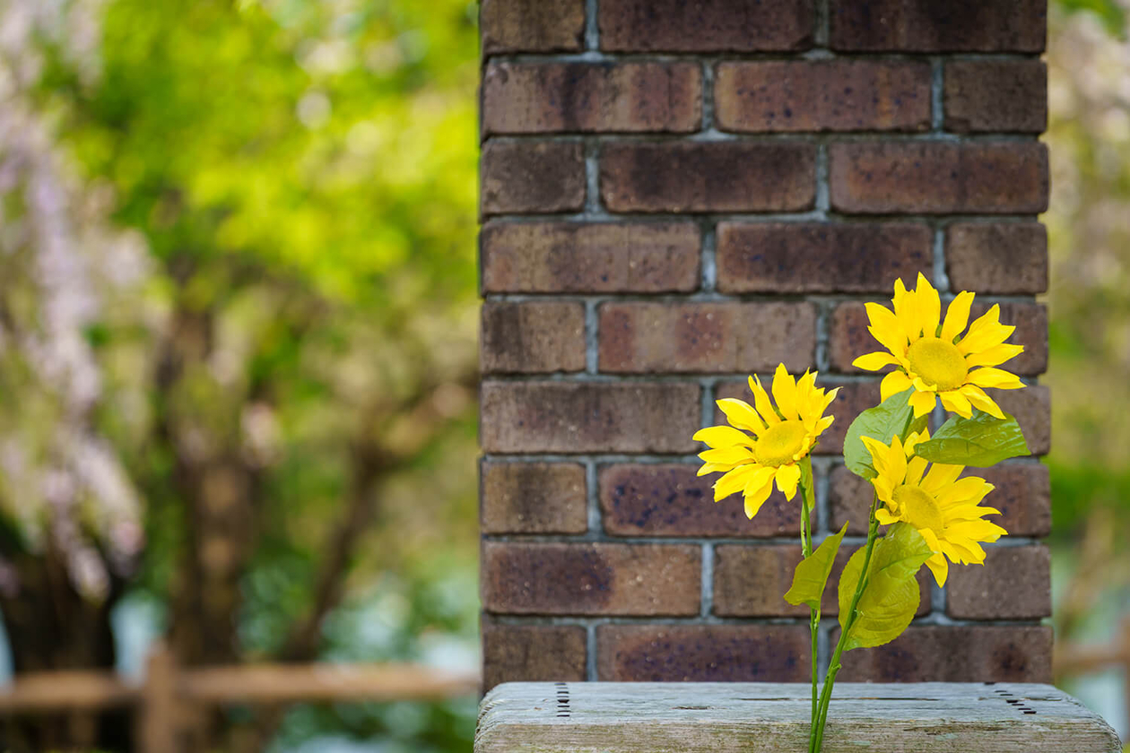 第二百四十二話 自分の足元を掘る－【海外レジェンド篇③】画家 フィンセント・ファン・ゴッホ－