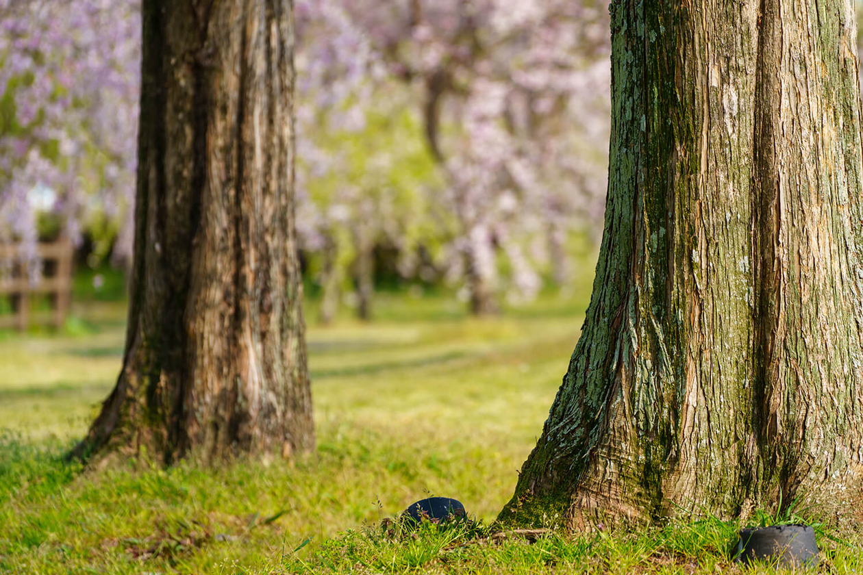 第二百四十二話 自分の足元を掘る－【海外レジェンド篇③】画家 フィンセント・ファン・ゴッホ－