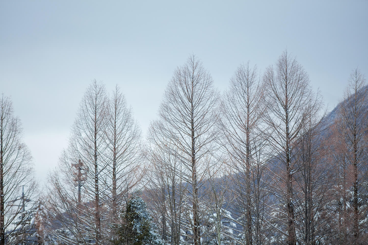 第二十四話 切り込む力－随筆家・白洲正子－