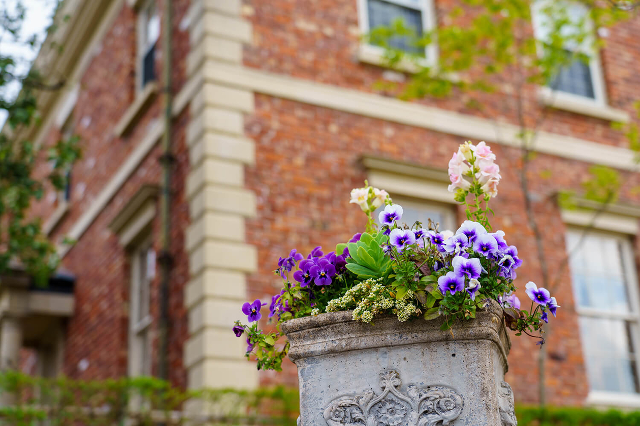 第二百四十三話 自分の中にyesを探す－【海外レジェンド篇④】ザ・ビートルズ－