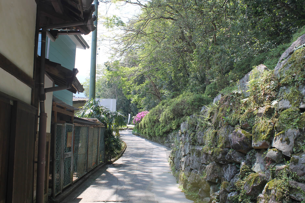 第二百四十五話 大切なものを守り抜く－【愛媛篇】漫画家 谷岡ヤスジ－