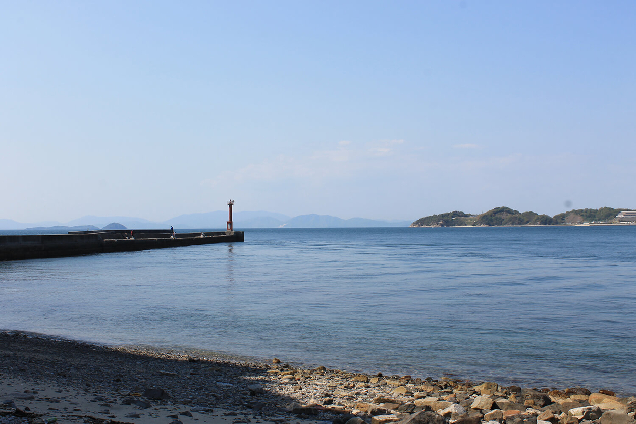 第二百四十六話 他人と分かち合う－【愛媛篇】脚本家 早坂暁－