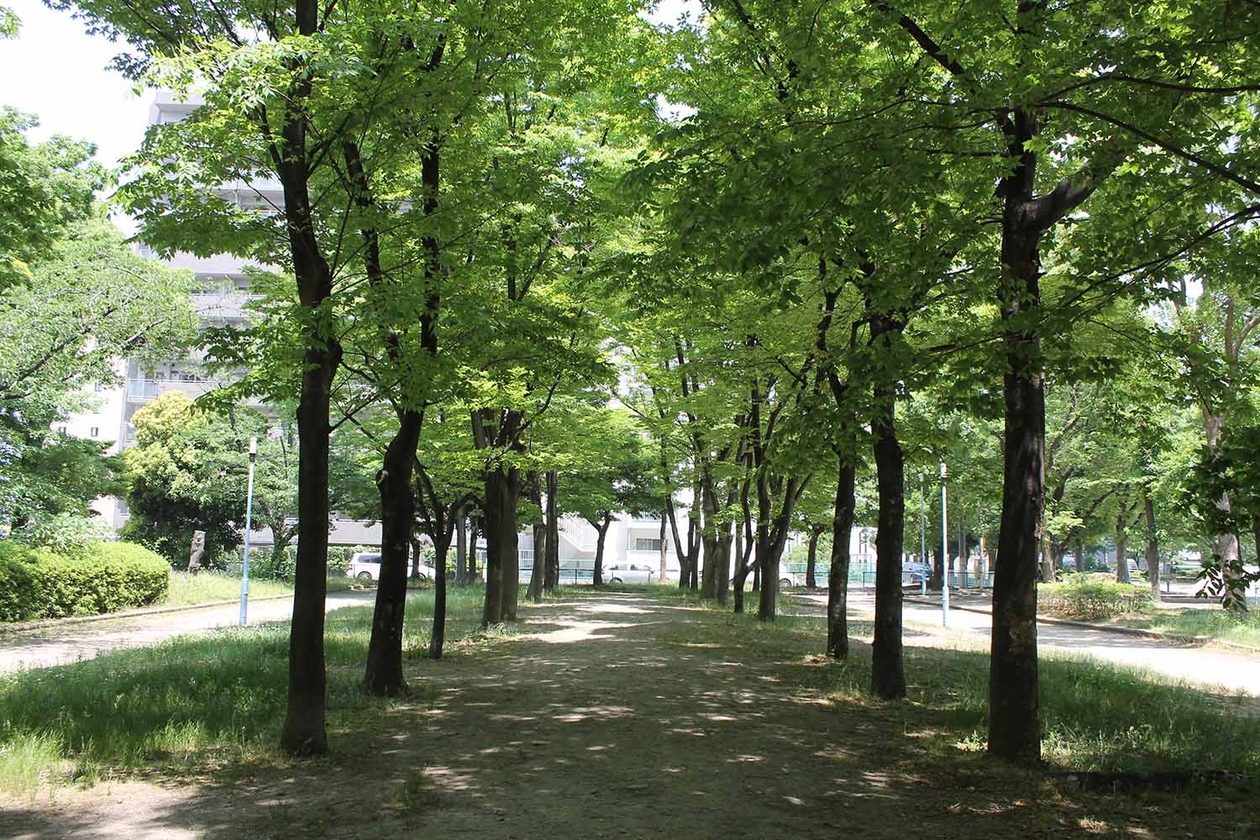 第二百四十九話 大切なものは手放さない－【偉大な演劇人篇①】劇作家 森本薫－