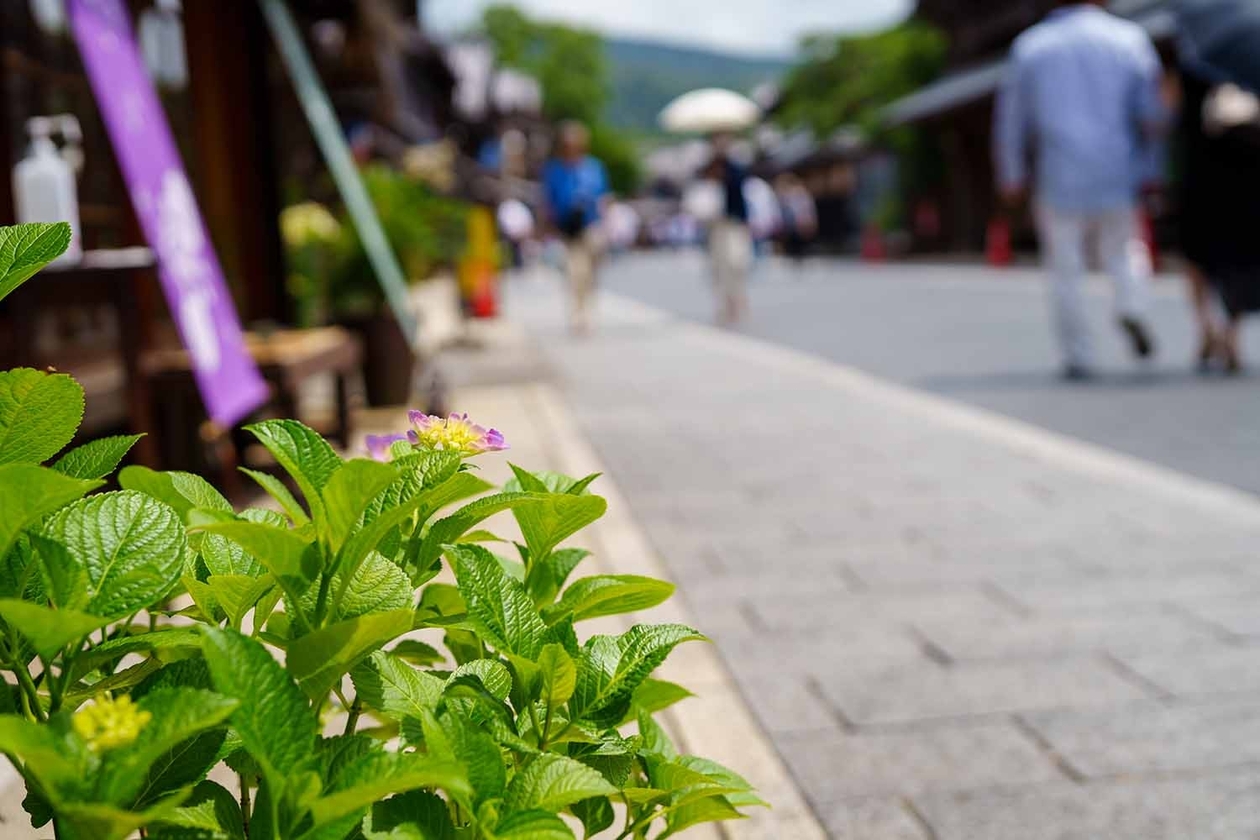 第二百五十話 続けることの大切さ－【偉大な演劇人篇②】俳優 丸山定夫－