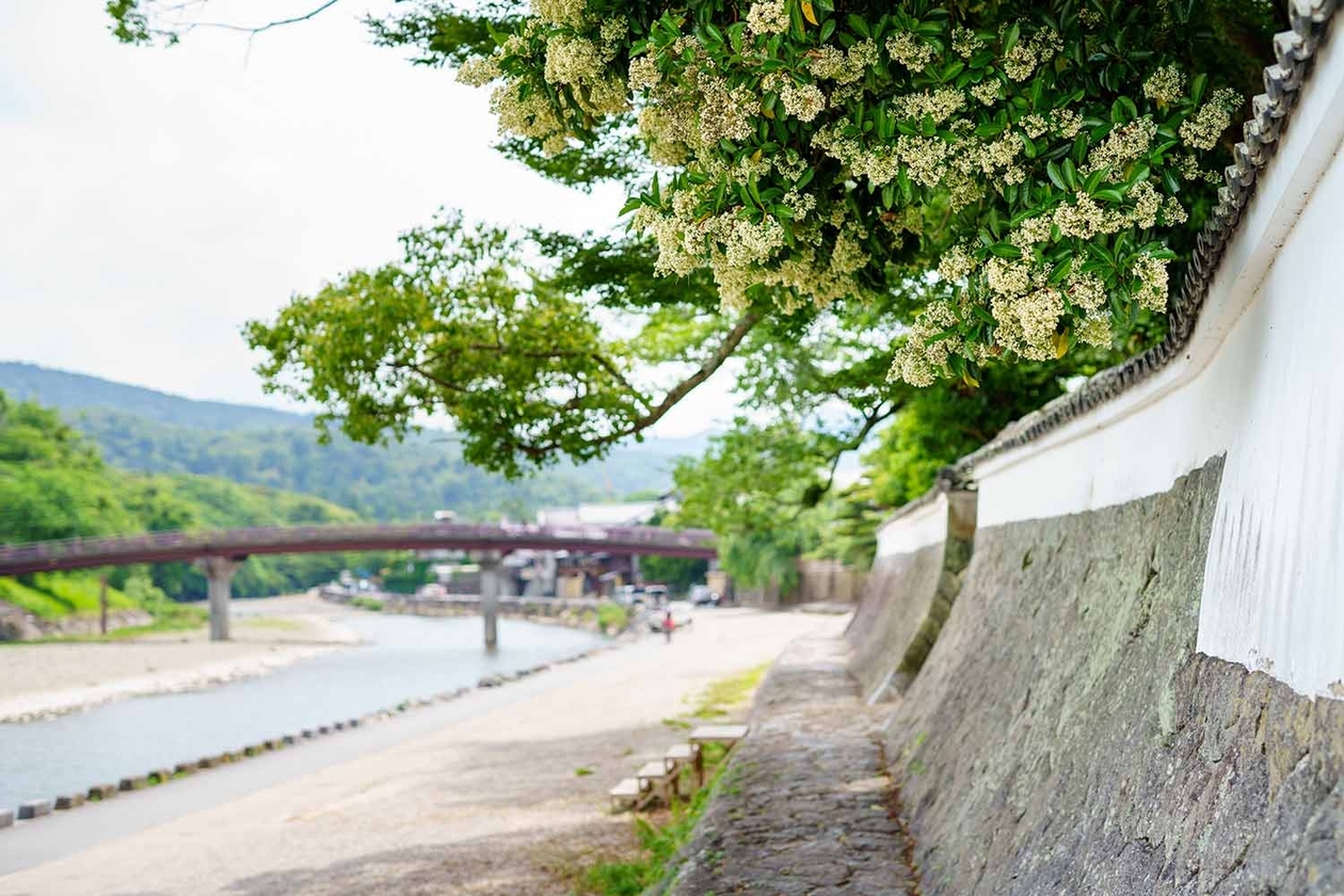 第二百五十話 続けることの大切さ－【偉大な演劇人篇②】俳優 丸山定夫－