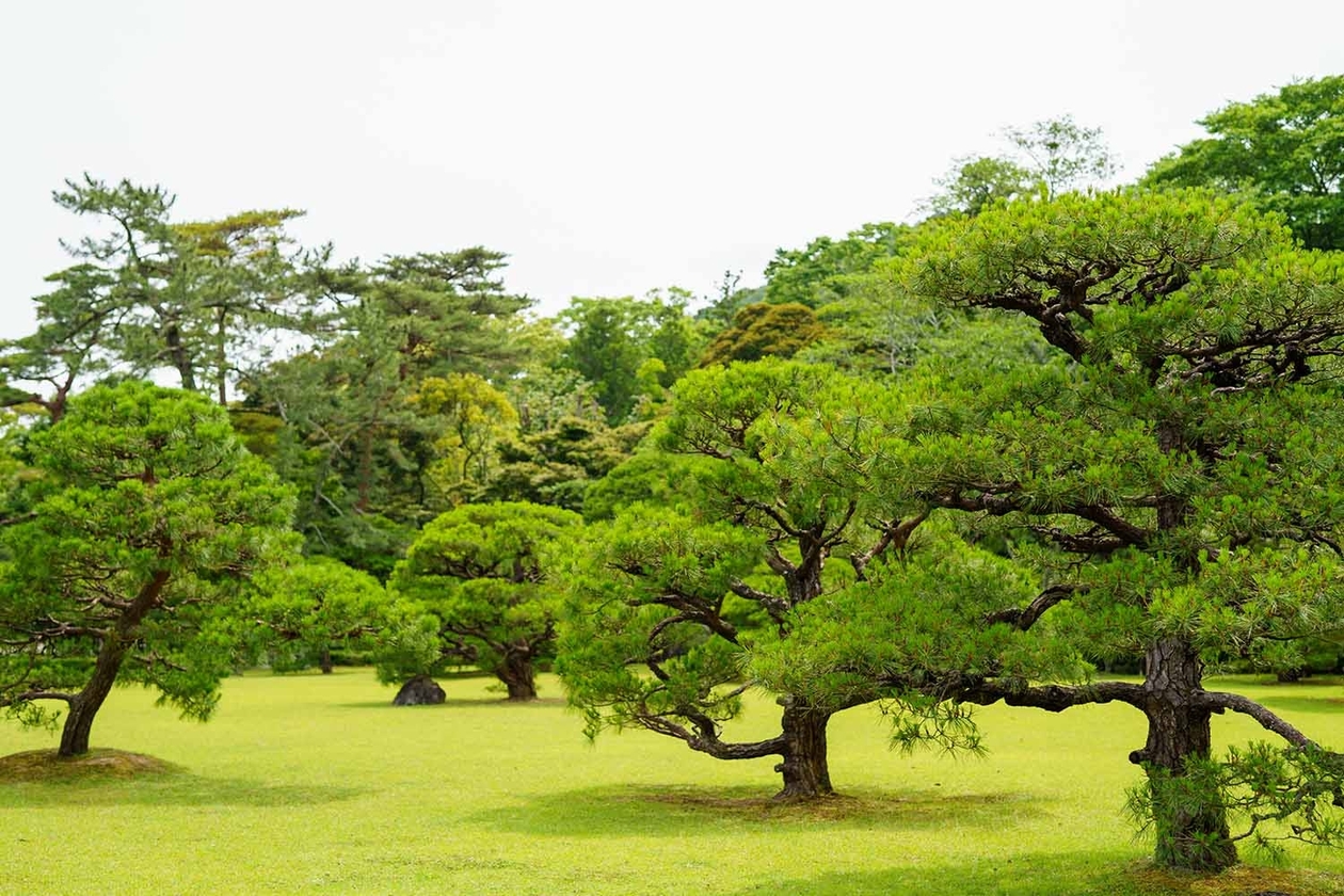 第二百五十話 続けることの大切さ－【偉大な演劇人篇②】俳優 丸山定夫－