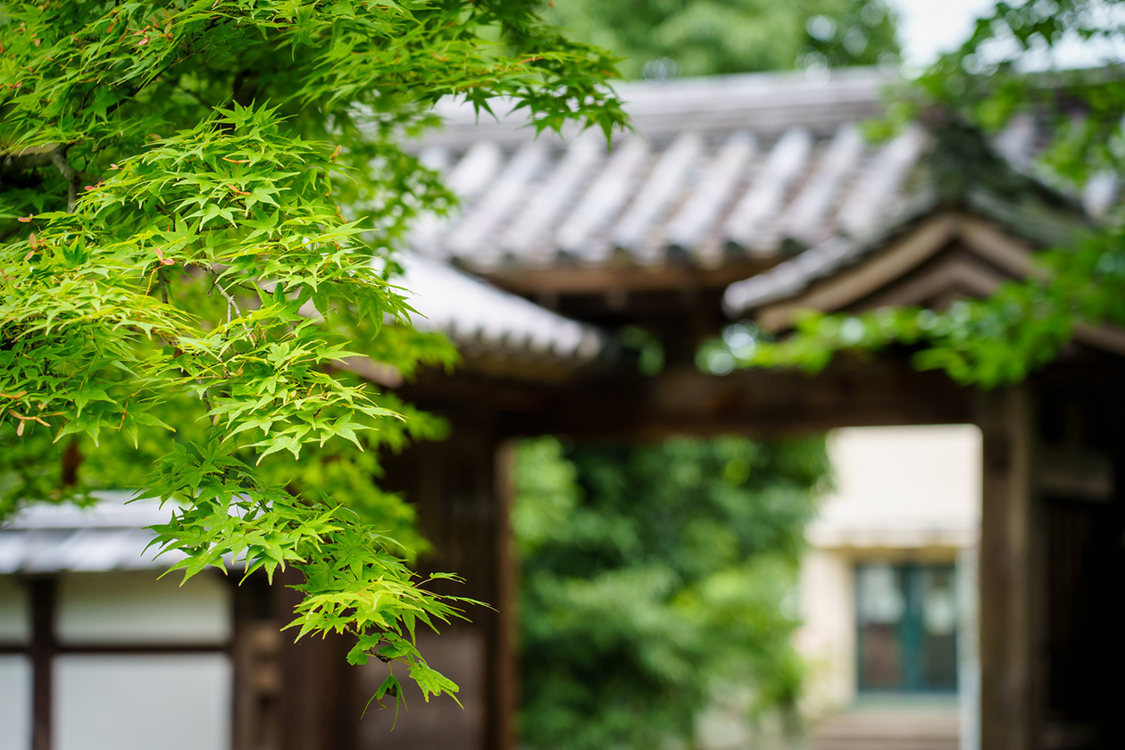 第二百五十一話 異端を極める－【偉大な演劇人篇③】劇作家 秋元松代－