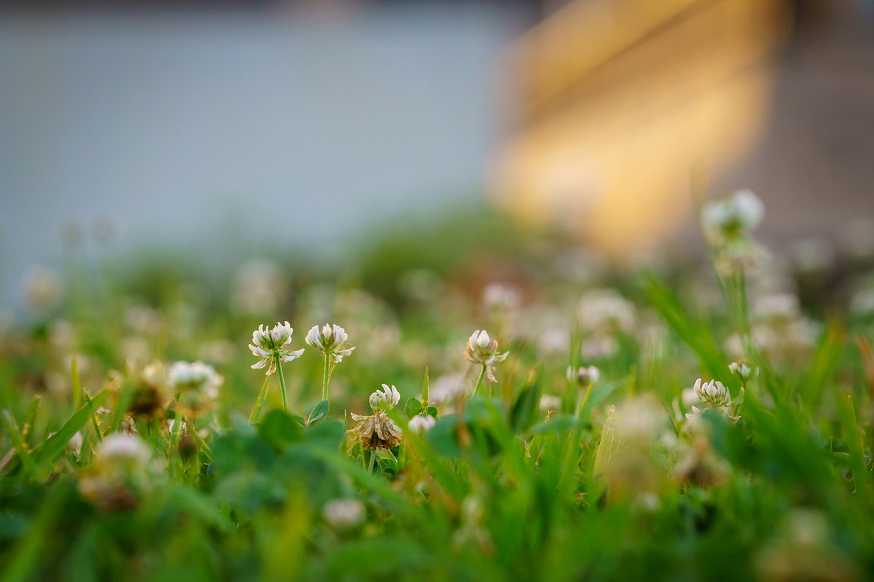 第二百五十一話 異端を極める－【偉大な演劇人篇③】劇作家 秋元松代－