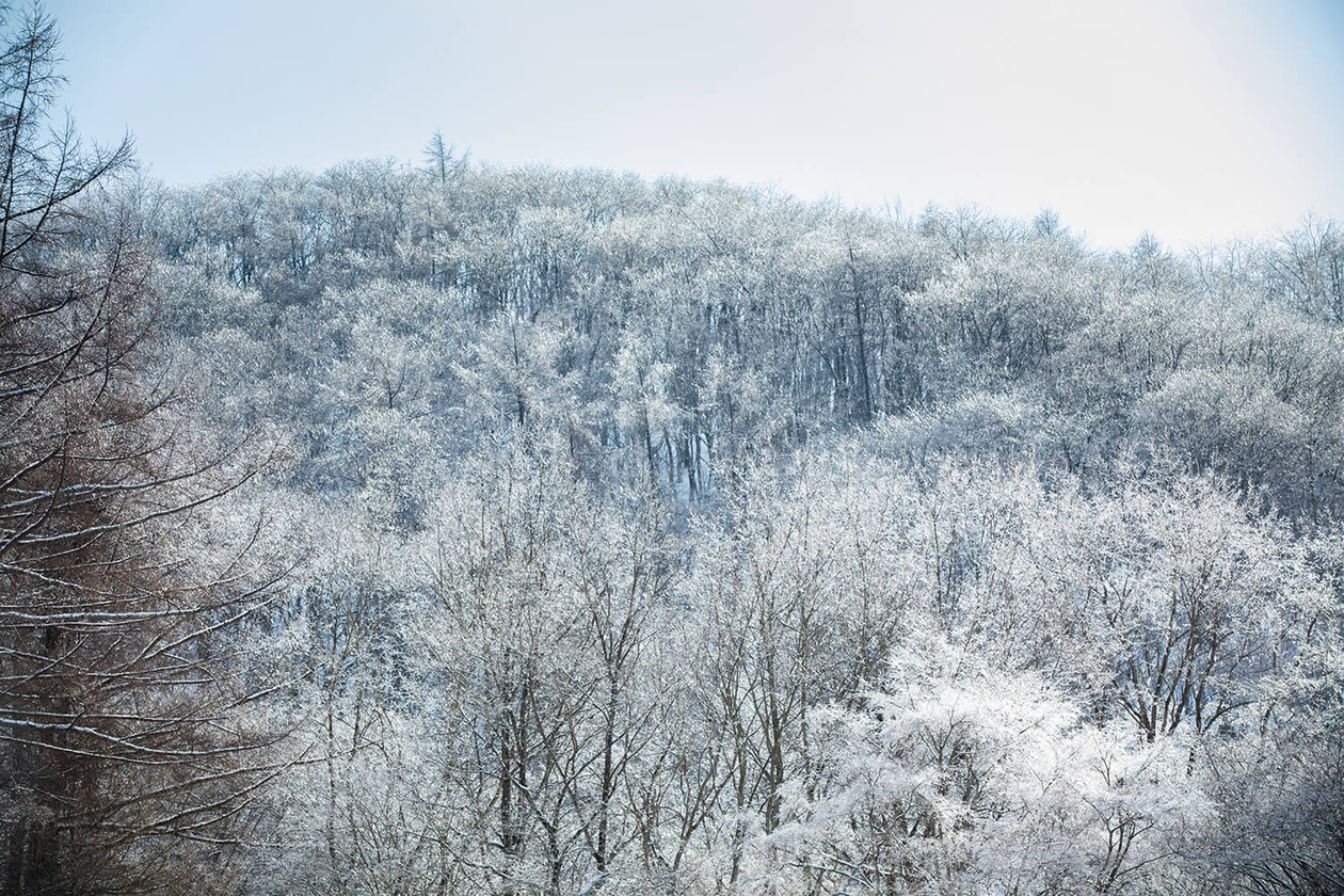 第二十六話 人がやらぬことをやる－実業家・政治家 堤康次郎－