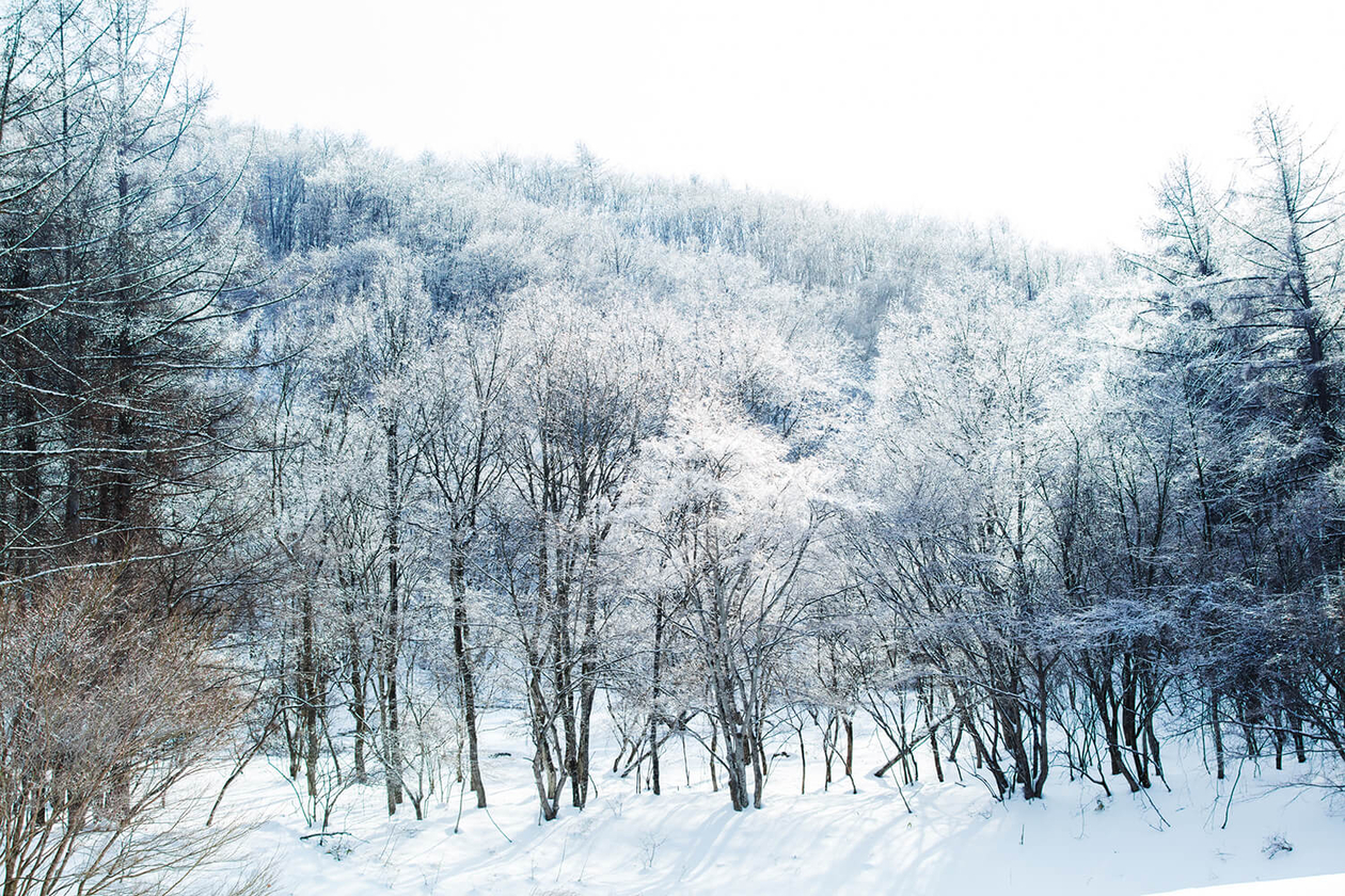 第二十六話 人がやらぬことをやる－実業家・政治家 堤康次郎－