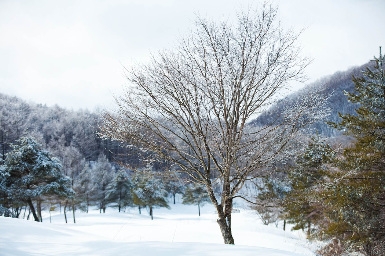 第二十六話 人がやらぬことをやる－実業家・政治家 堤康次郎－