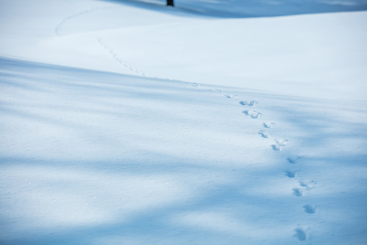第二十六話 人がやらぬことをやる－実業家・政治家 堤康次郎－