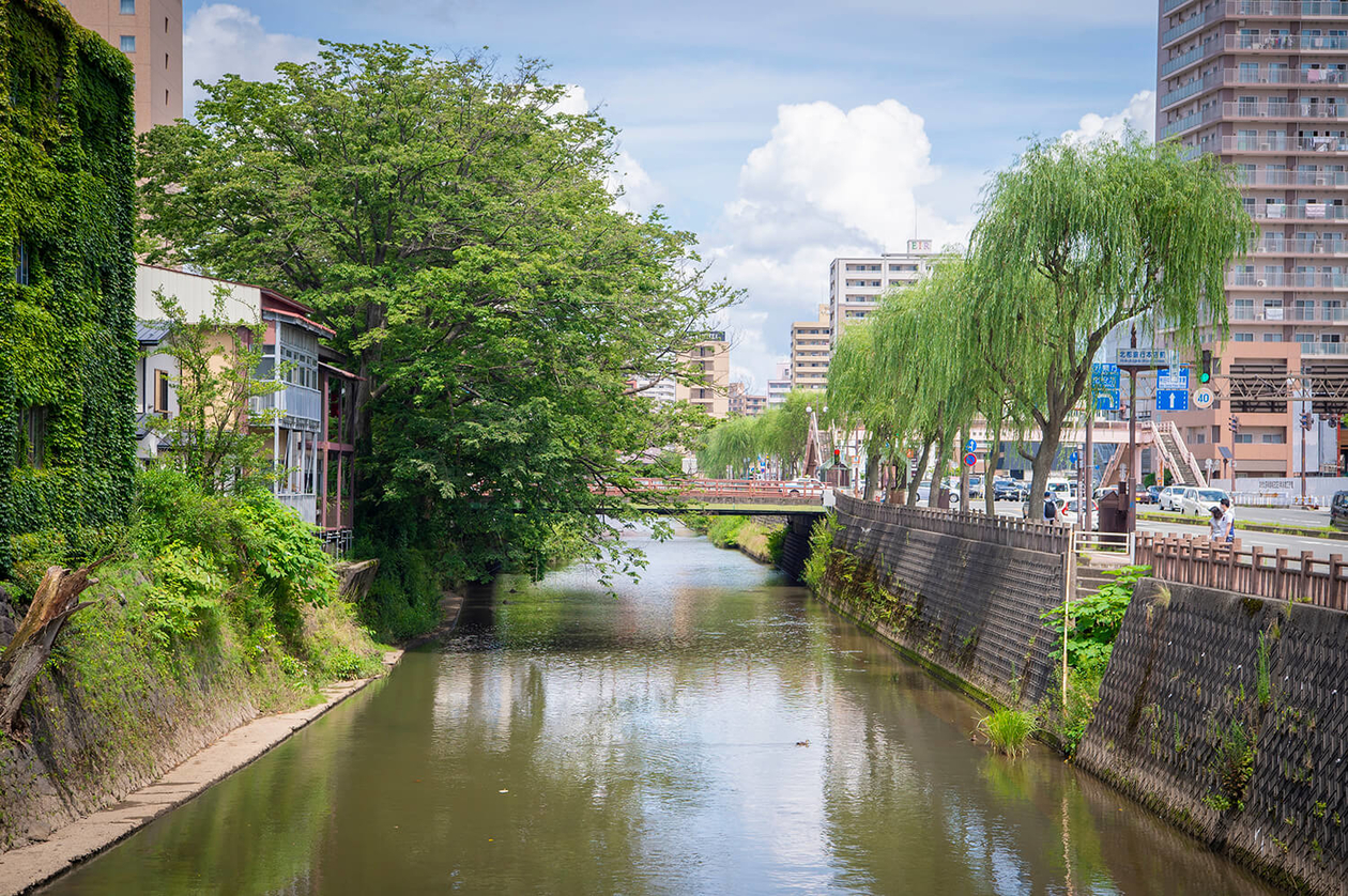 第二百五十八話 誰のためでもなく信念のために－【秋田篇】教育学者 井口阿くり－