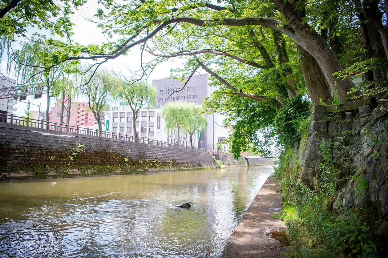 第二百五十八話 誰のためでもなく信念のために－【秋田篇】教育学者 井口阿くり－