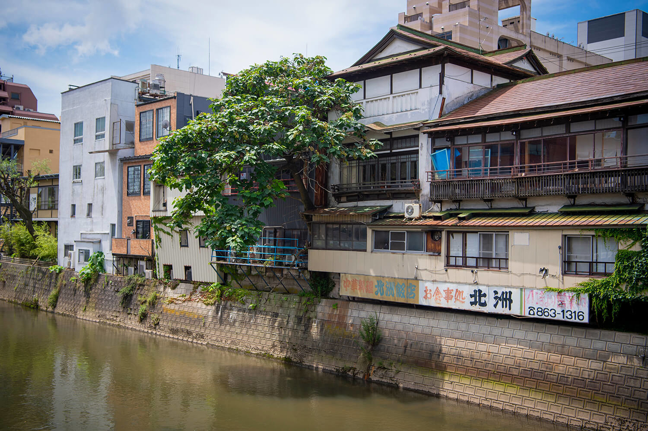 第二百五十八話 誰のためでもなく信念のために－【秋田篇】教育学者 井口阿くり－