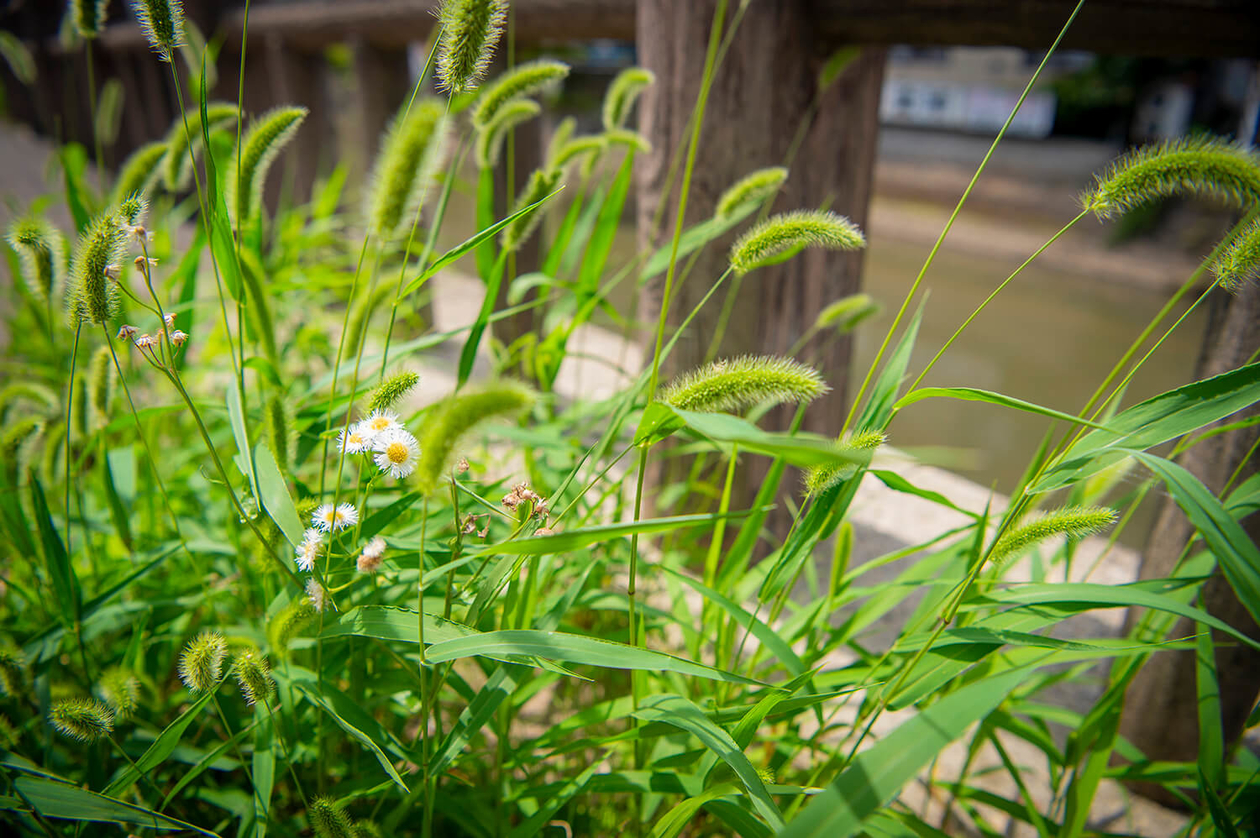 第二百五十八話 誰のためでもなく信念のために－【秋田篇】教育学者 井口阿くり－