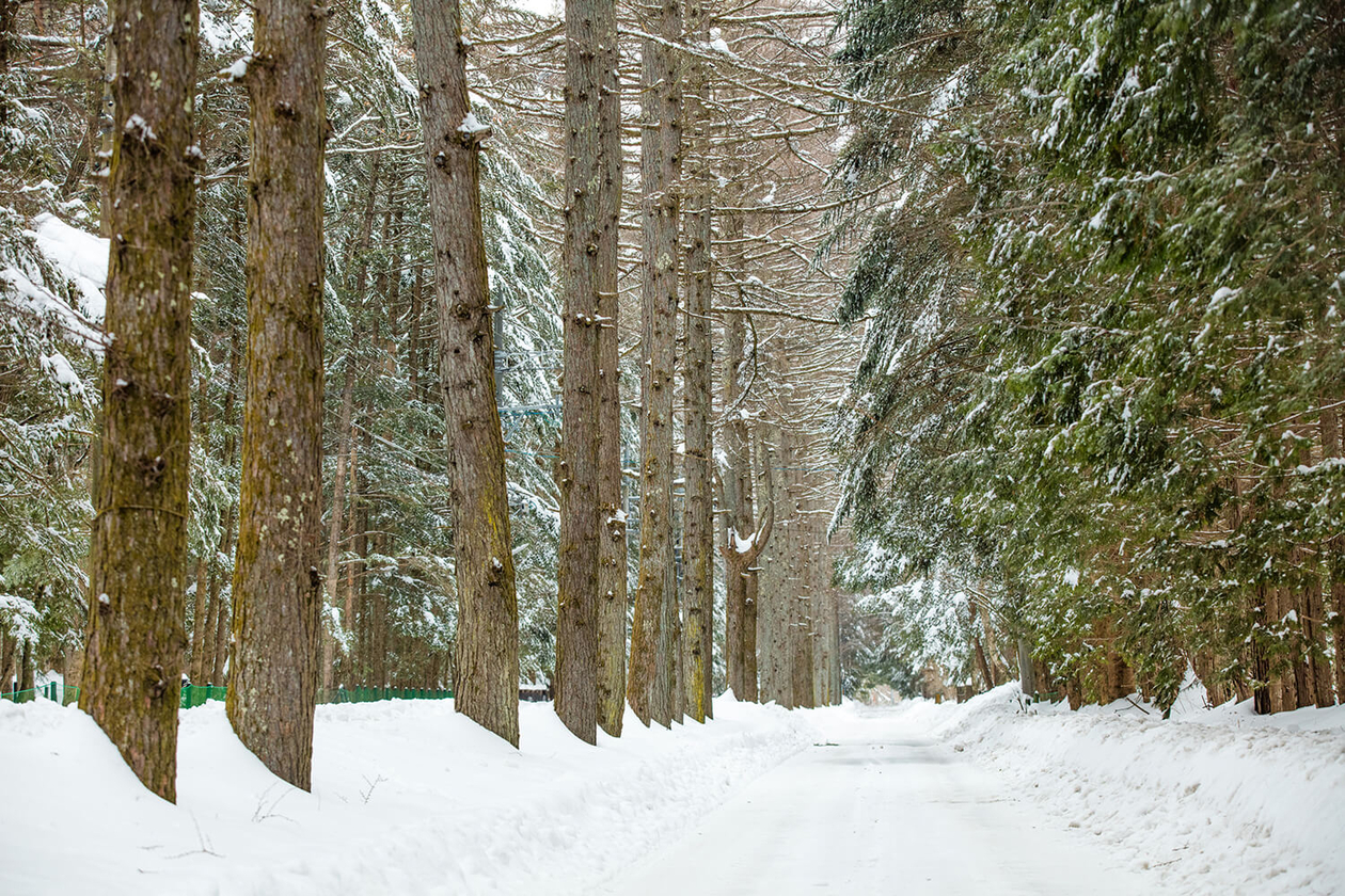 第二十六話 人がやらぬことをやる－実業家・政治家 堤康次郎－