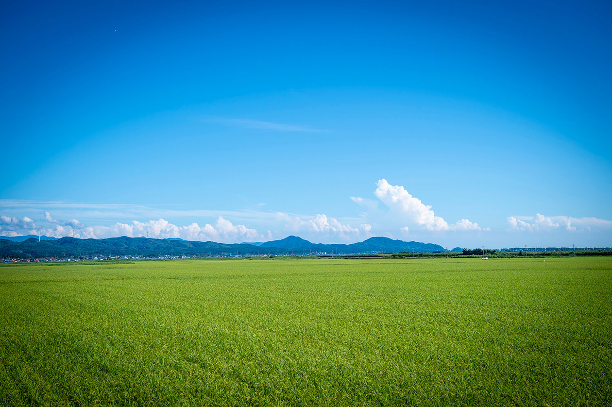 第二百六十一話 幸せは、好きなことの中にある－【秋田篇】パイロット 及位ヤヱ－